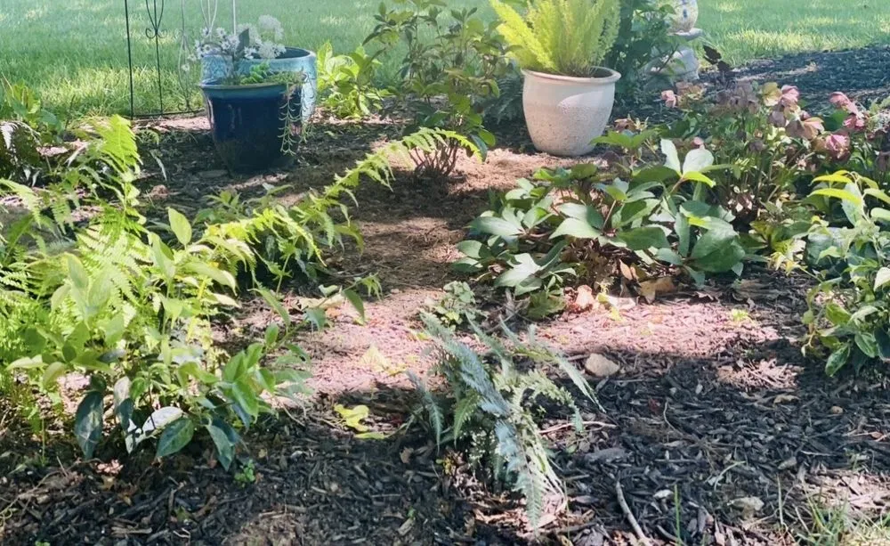 Professional landscape design in Ellicott City, MD by Peace of Mind Gardens