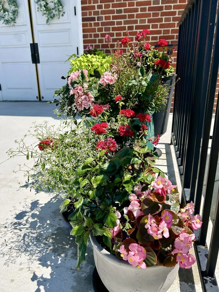 Professional landscape design in Ellicott City, MD - Peace of Mind Gardens