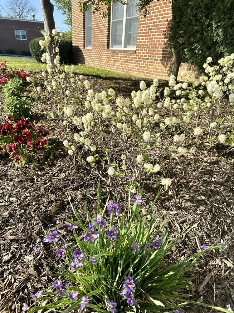 Top-rated residential landscaping experts serving Ellicott City, MD - Peace of Mind Gardens