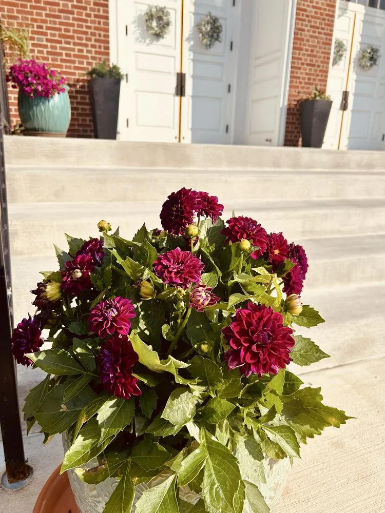 Top-rated outdoor landscaping in Ellicott City, MD - Peace of Mind Gardens