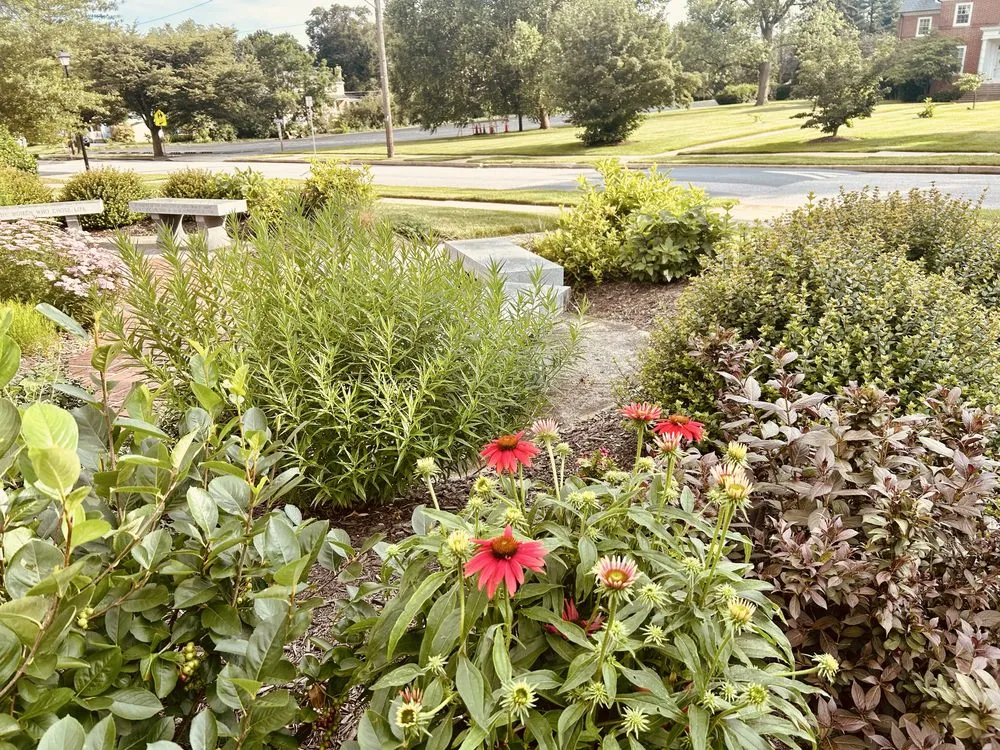 Local landscaping services for homes in Ellicott City, MD by Peace of Mind Gardens