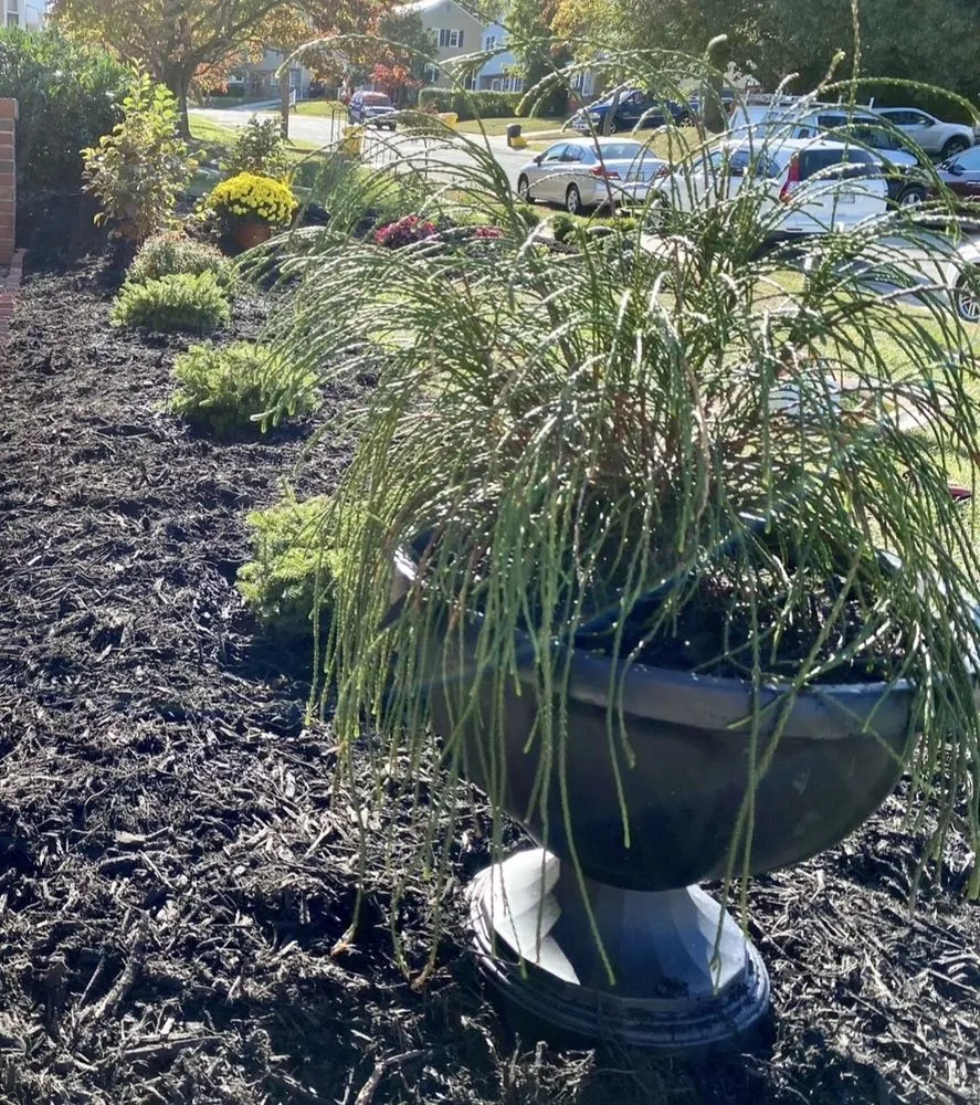 Professional outdoor landscaping in Ellicott City, MD by Peace of Mind Gardens