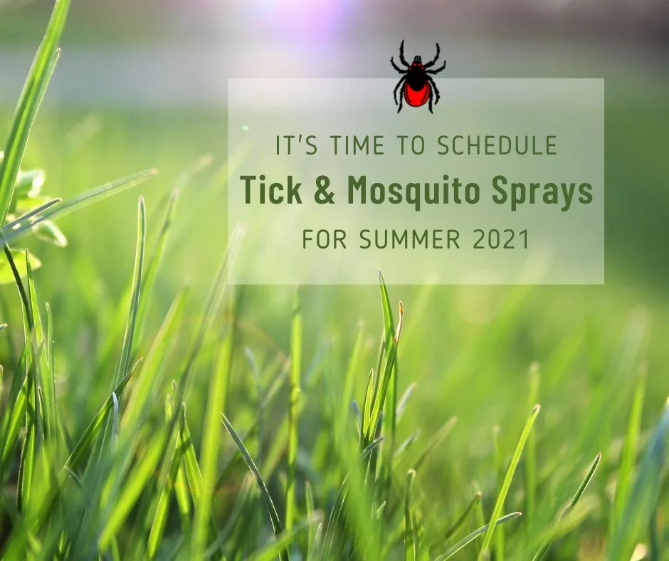 Top-rated lawn mowing service for beautiful yards across Wells, ME - Peace of Mind Tick Control Inc.