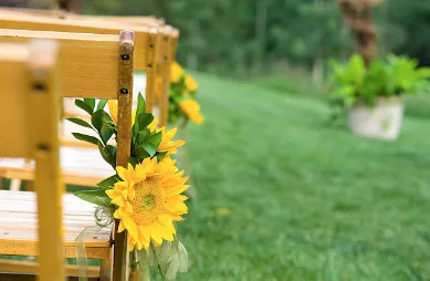 Peace of Mind Tick Control Inc. Logo