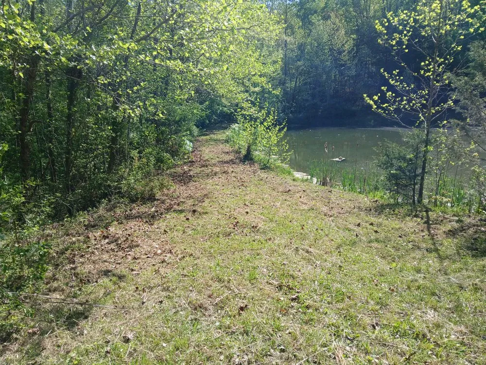 Top-rated landscaping services for outdoor upgrades across Sneedville, TN - Peaceful Roots