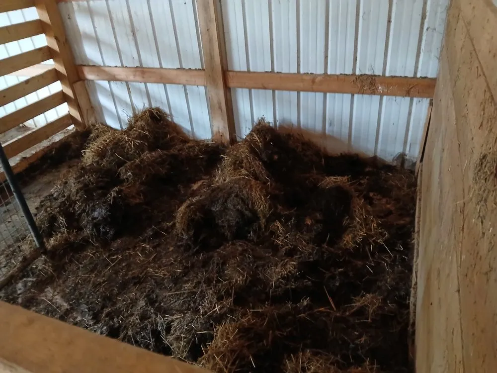 Expert residential landscaping for year-round maintenance in Sneedville, TN by Peaceful Roots