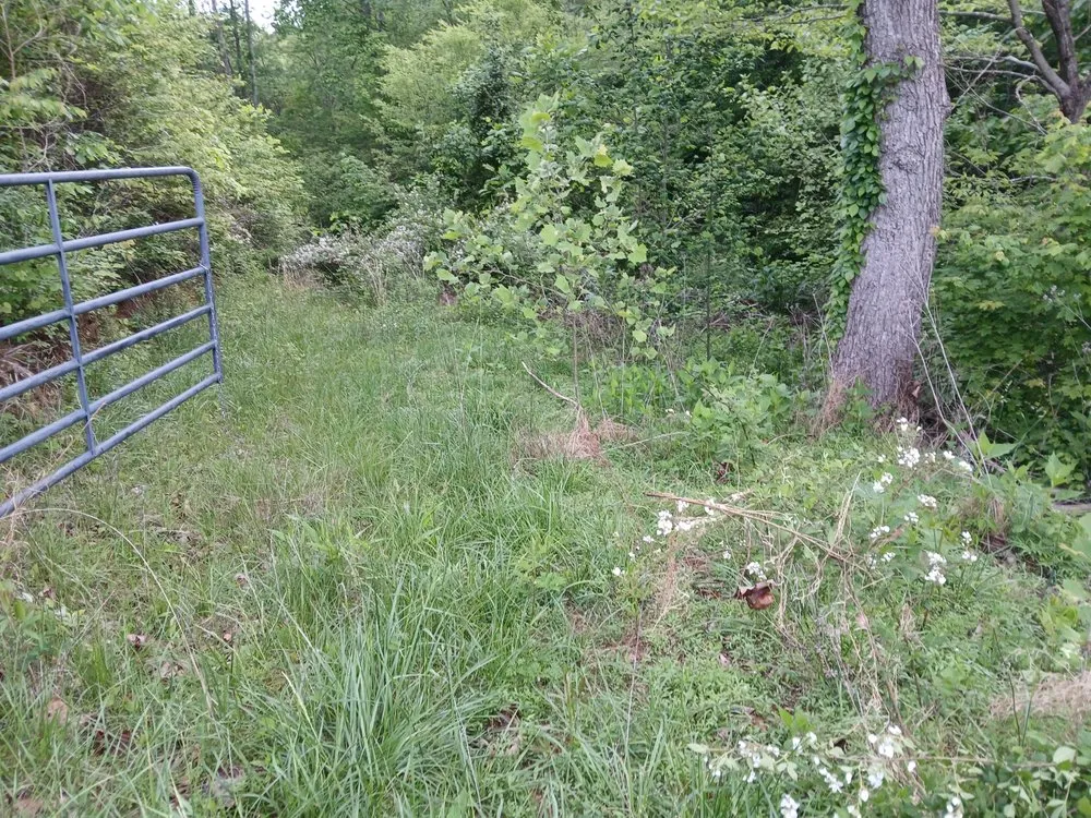 Reliable landscape design experts serving Sneedville, TN - Peaceful Roots