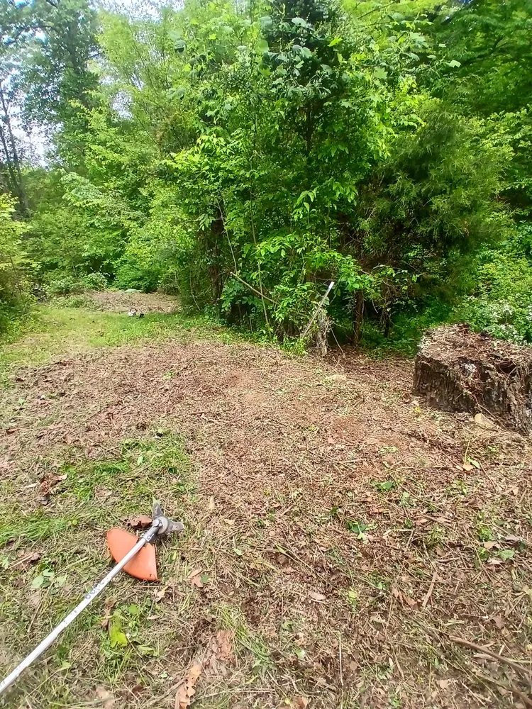 Expert yard maintenance for beautiful yards across Sneedville, TN - Peaceful Roots