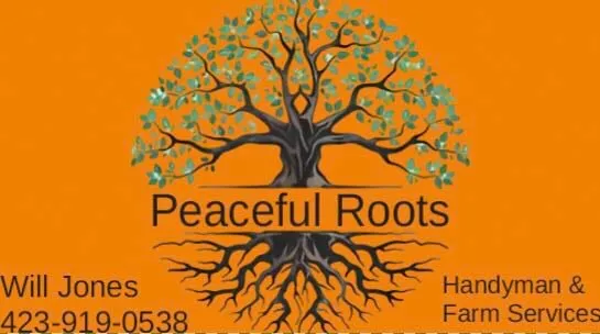 Trusted landscaping services in Sneedville, TN by Peaceful Roots