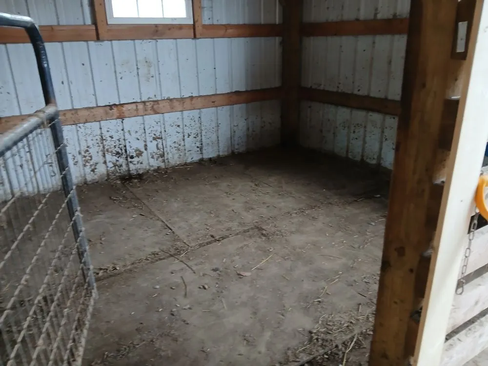 Custom garden landscaping for year-round maintenance in Sneedville, TN by Peaceful Roots