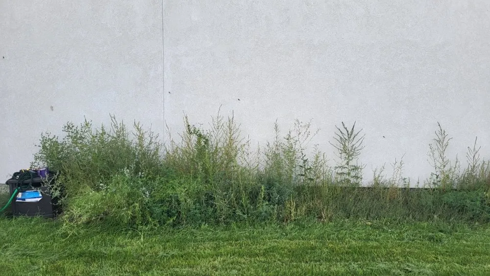 Affordable outdoor landscaping in Tooele, UT by Peaceful Yard Maintenance