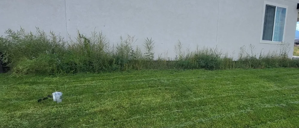 Custom yard maintenance in Tooele, UT by Peaceful Yard Maintenance