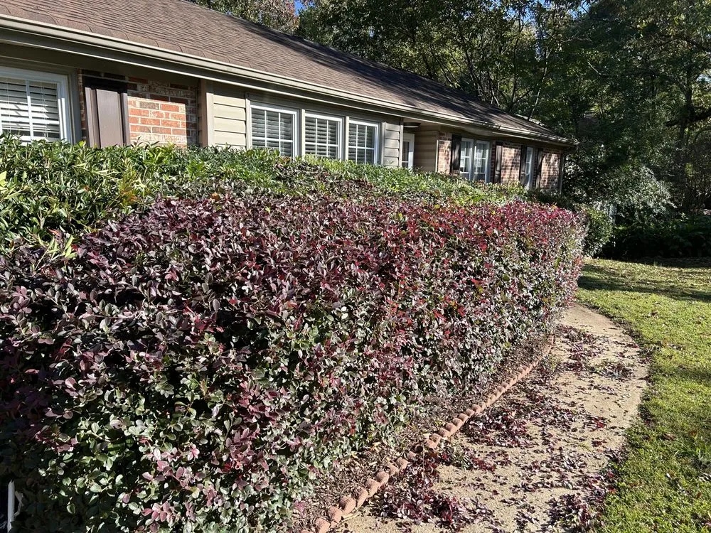 Professional yard maintenance in Greenville, SC by Peacefulgreens Lawncare