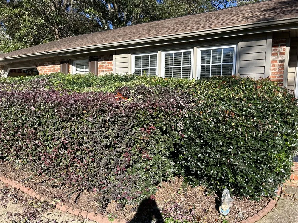 Custom outdoor landscaping for homes in Greenville, SC by Peacefulgreens Lawncare