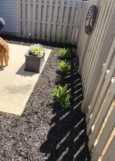 Top-rated landscape design in Greenville, SC - Peacefulgreens Lawncare