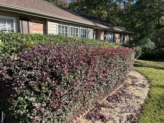 Peacefulgreens Lawncare Logo