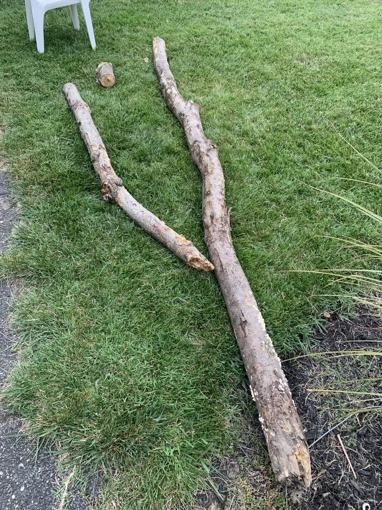 Local outdoor landscaping in Wilmington, DE by Peach Lawn Care