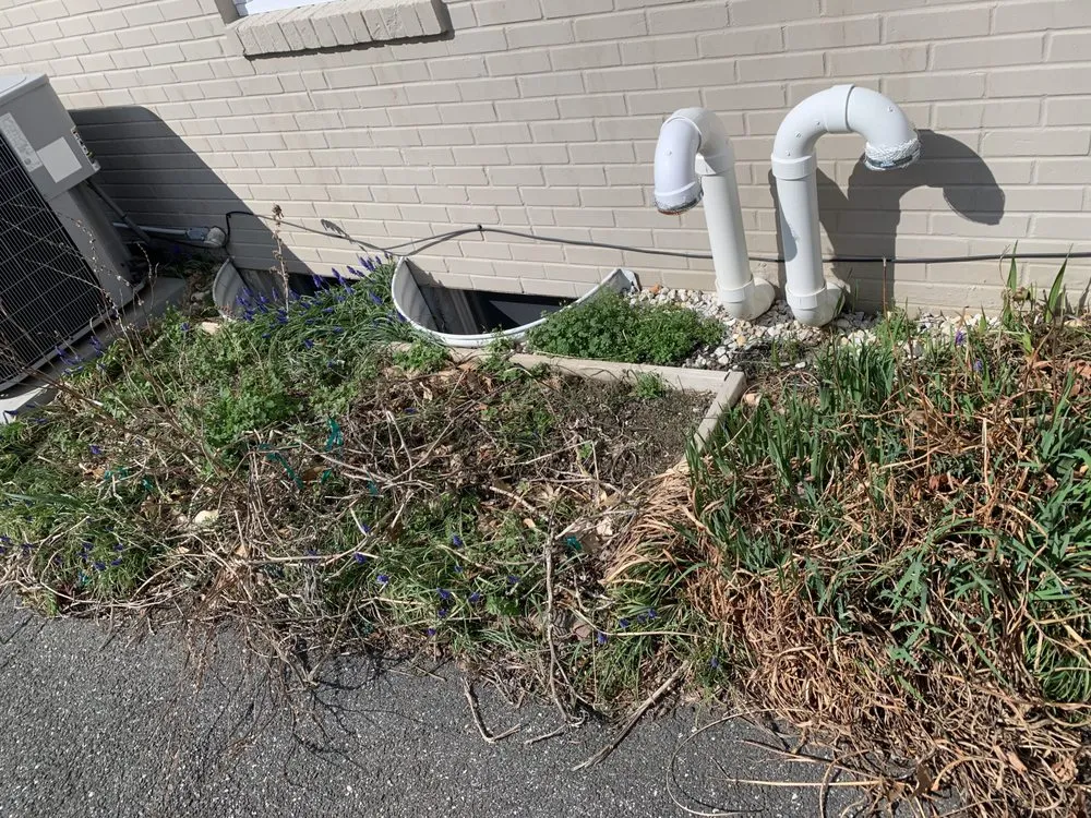 Professional yard maintenance for beautiful yards in Wilmington, DE by Peach Lawn Care