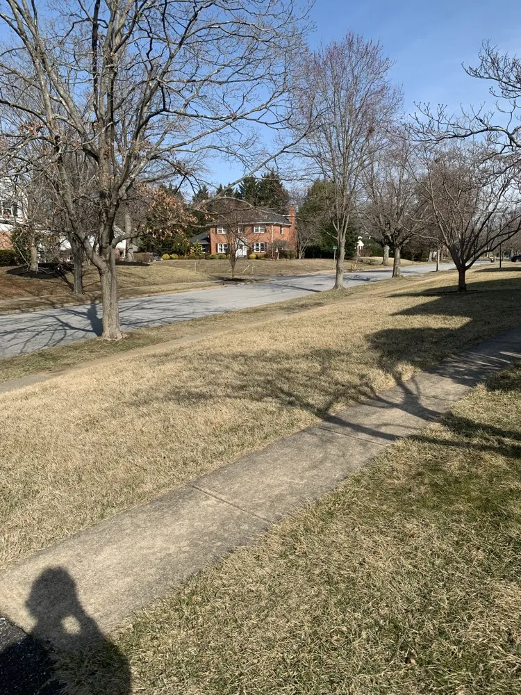 Expert landscape design in Wilmington, DE by Peach Lawn Care