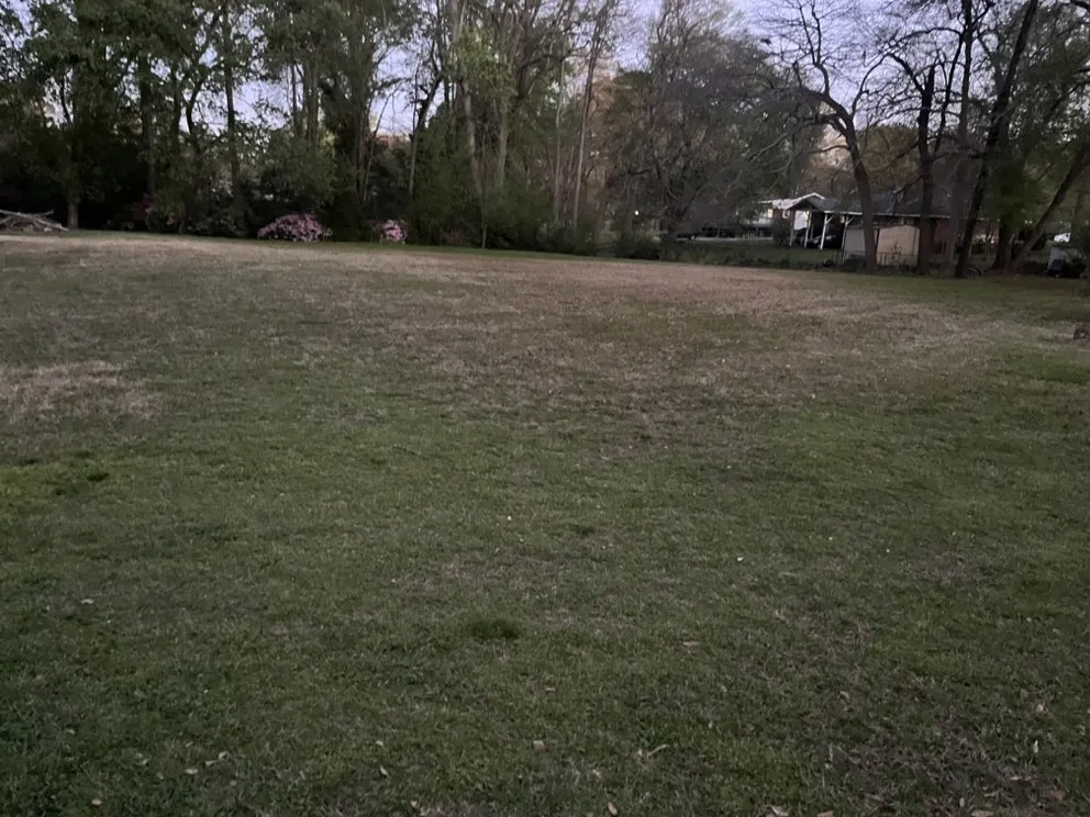 Top-rated yard maintenance for beautiful yards across Lilburn, GA - Peach Scapers Landscaping and Urban Gardening