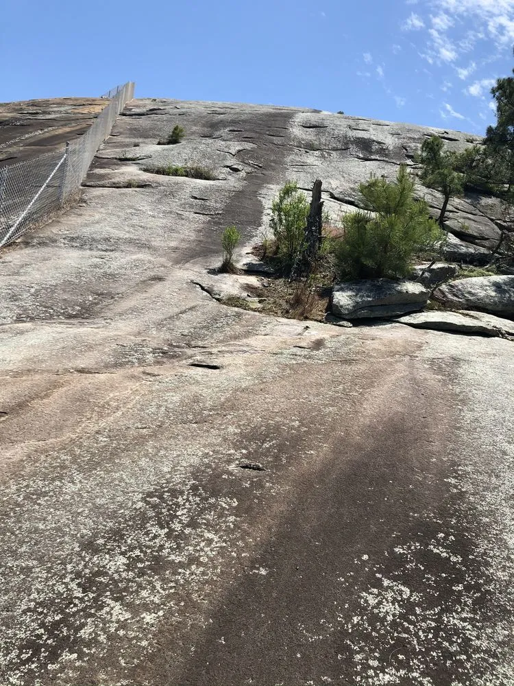 Professional lawn care service in Lilburn, GA by Peach Scapers Landscaping and Urban Gardening