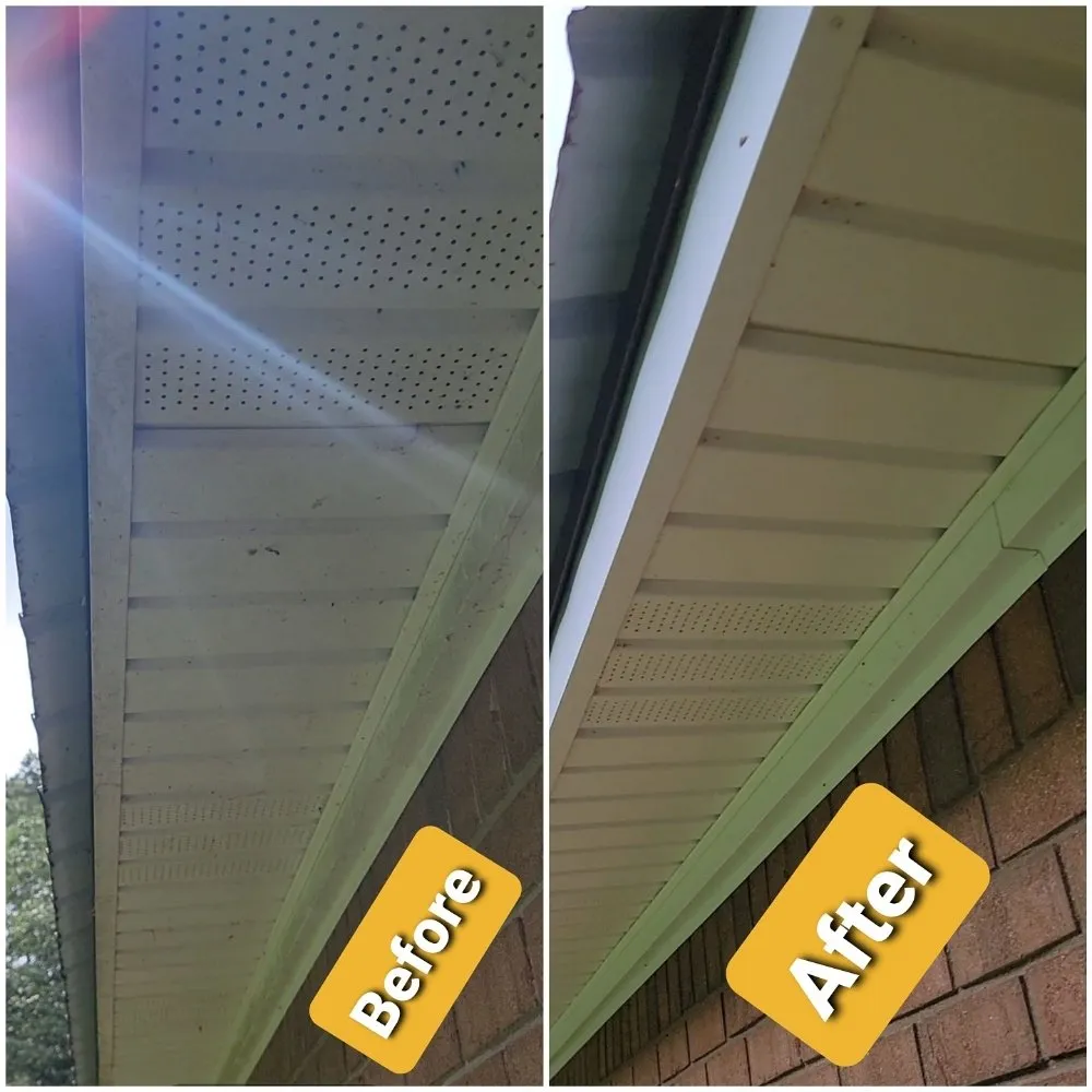 Local yard cleanup service for homes in Loganville, GA by Peach State Pressure Washing & Lawn Care