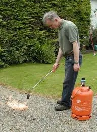 Affordable landscape design experts serving Kennesaw, GA - Peachtree Ivy Removal