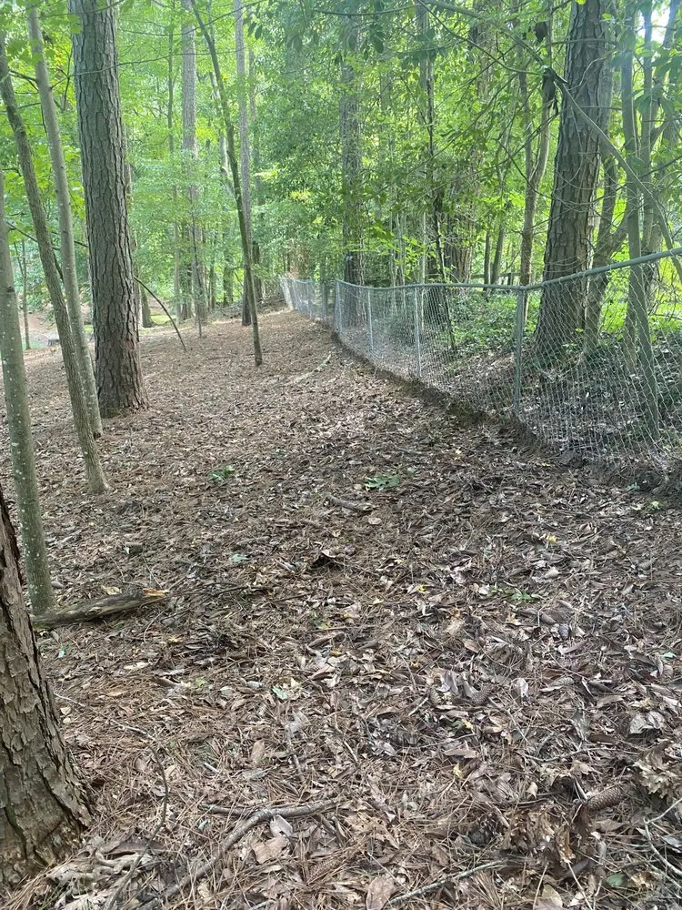 Trusted landscape installation experts serving Kennesaw, GA - Peachtree Ivy Removal