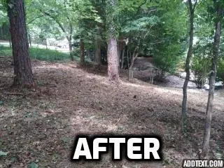 Trusted yard maintenance in Kennesaw, GA - Peachtree Ivy Removal