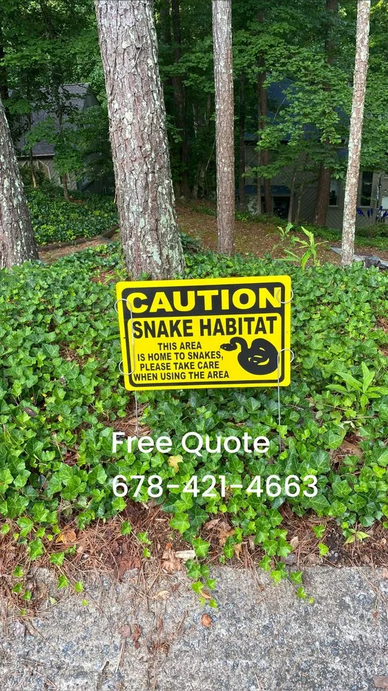 Trusted outdoor landscaping for year-round maintenance across Kennesaw, GA - Peachtree Ivy Removal