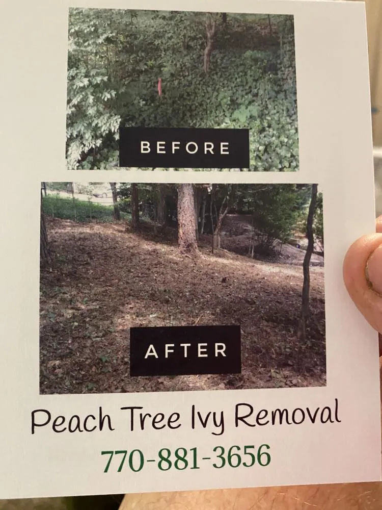 Professional yard cleanup service in Kennesaw, GA by Peachtree Ivy Removal