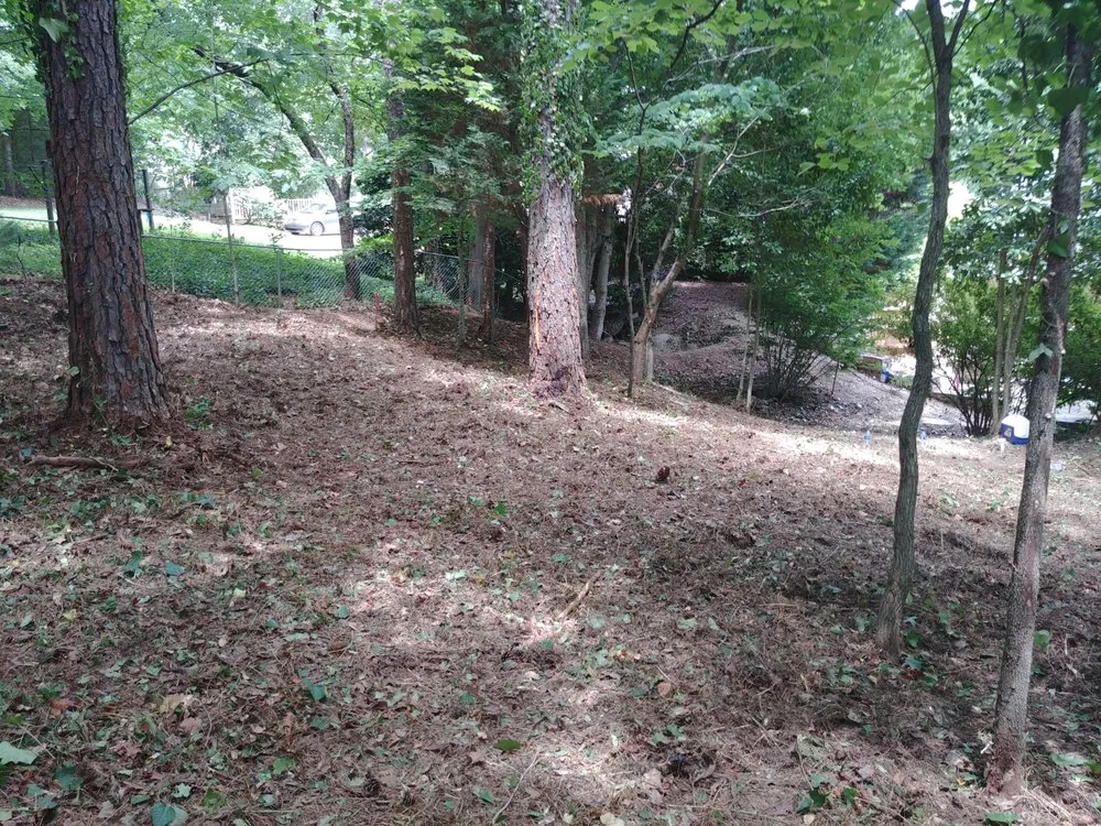 Professional garden landscaping experts serving Kennesaw, GA - Peachtree Ivy Removal