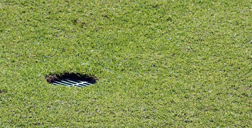 Affordable landscape installation for outdoor upgrades in Austin, TX by Peachtree Landscape and Irrigation