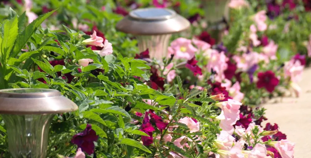 Professional landscape installation with custom design across Austin, TX - Peachtree Landscape and Irrigation