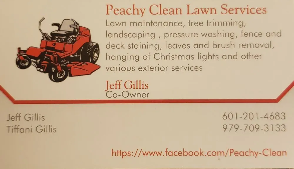 Top-rated lawn care service with custom design in Lake Jackson, TX by Peachy Clean