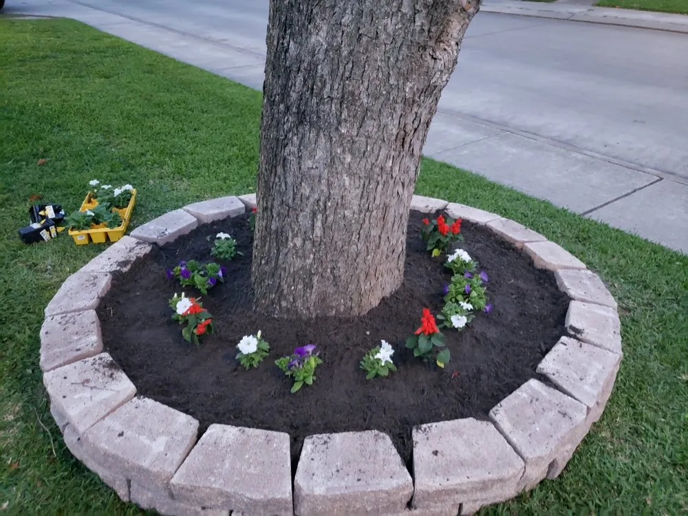 Expert lawn mowing service near you across Lake Jackson, TX - Peachy Clean