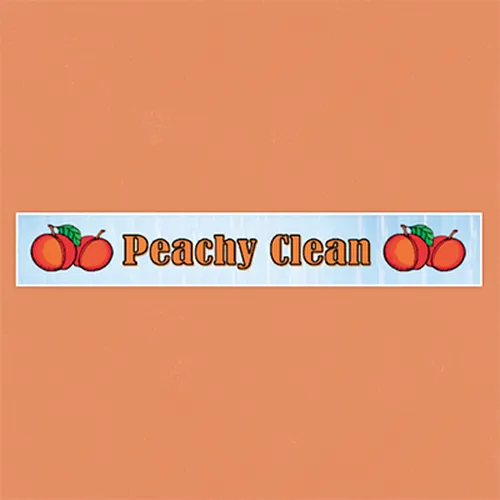 Custom yard cleanup service in Kingsland, GA by Peachy Clean Landscaping & Pressure Washing