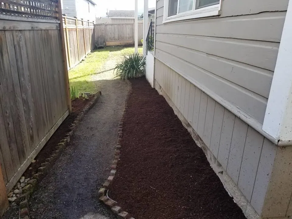 Affordable outdoor landscaping for year-round maintenance across Eugene, OR - Peachy Property Care