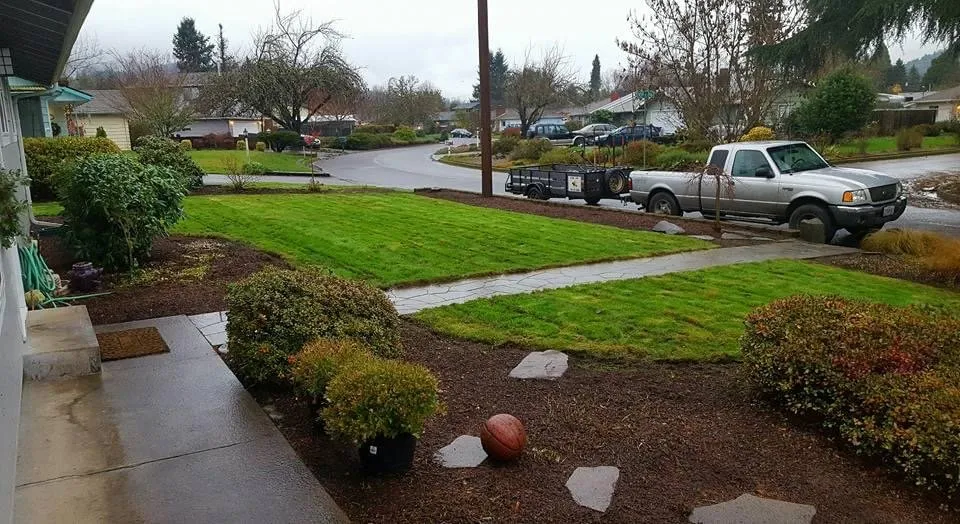 Affordable yard cleanup service experts serving Eugene, OR - Peachy Property Care