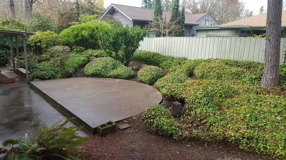 Local lawn care service in Eugene, OR by Peachy Property Care