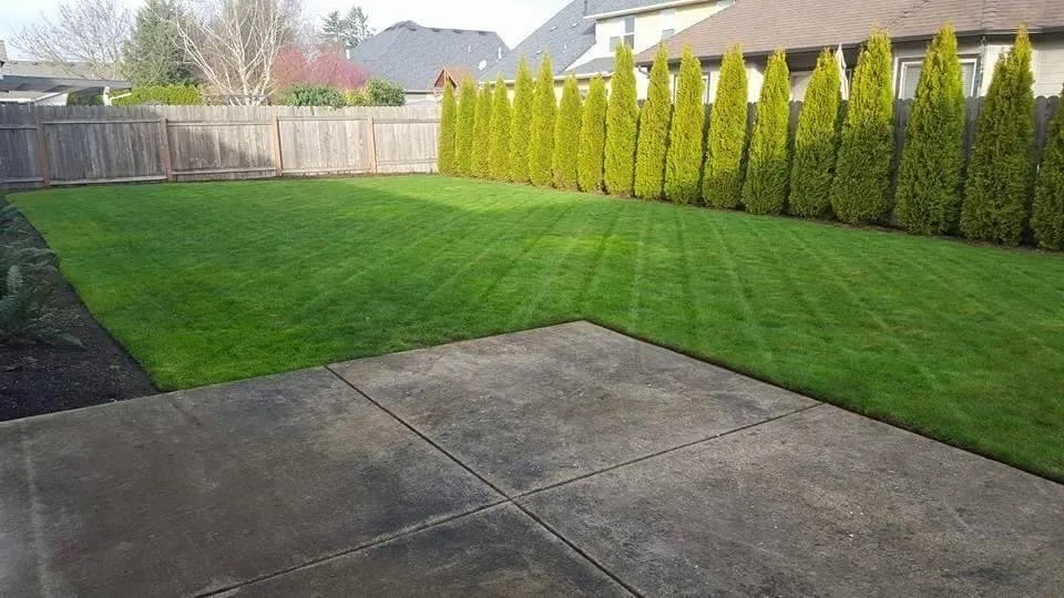 Expert landscape design in Eugene, OR - Peachy Property Care