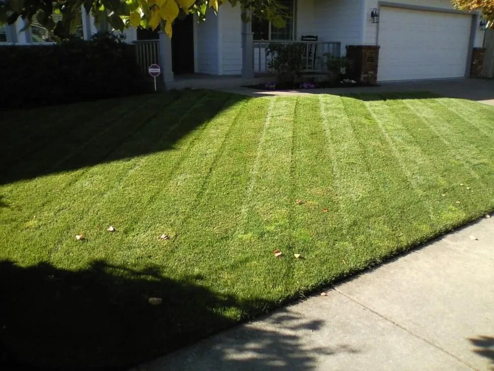 Top-rated landscaping services experts serving Eugene, OR - Peachy Property Care