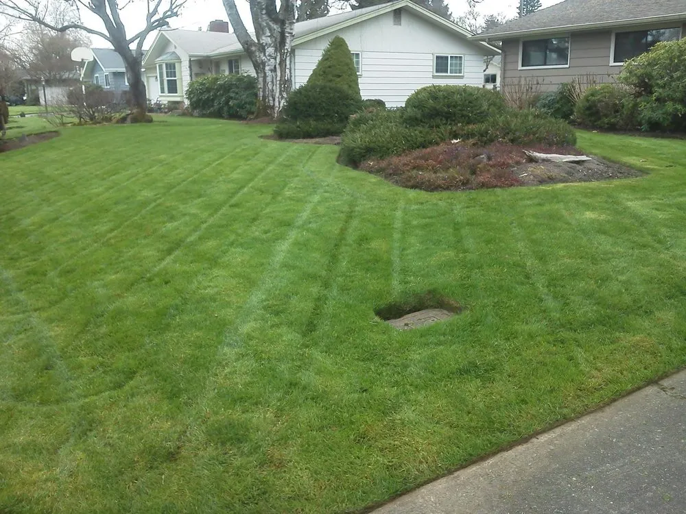 Expert garden landscaping in Eugene, OR - Peachy Property Care