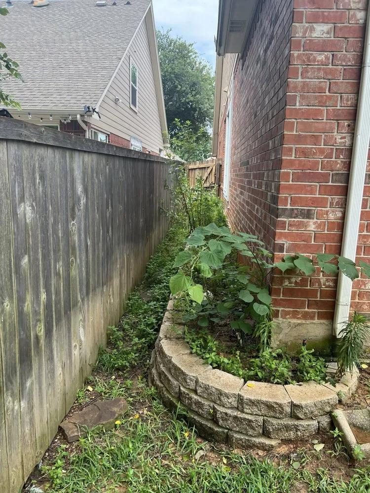 Expert yard cleanup service experts serving Arlington, TX - Peacock Blades Landscaping