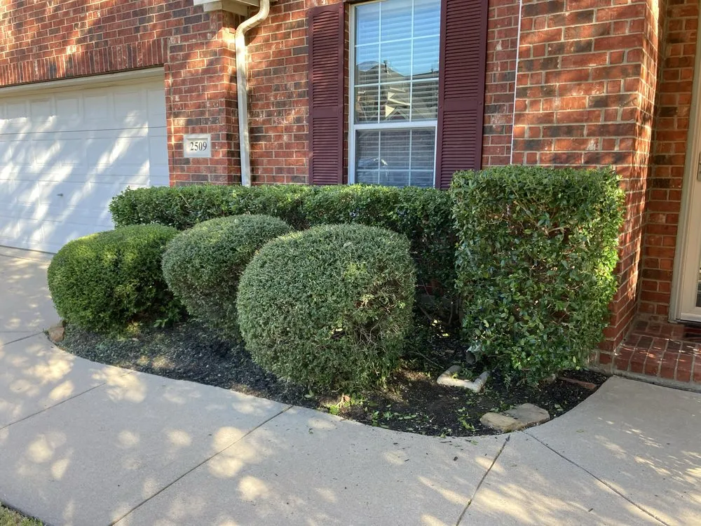 Affordable landscaping services for homes across Arlington, TX - Peacock Blades Landscaping