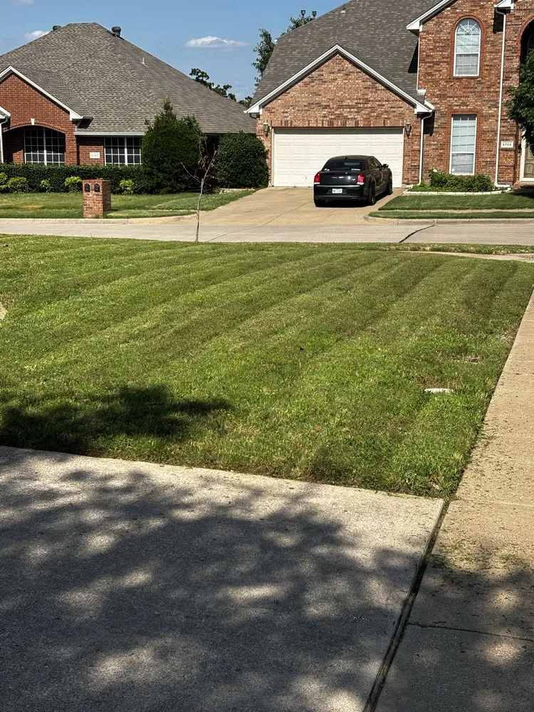 Professional lawn care service in Arlington, TX - Peacock Blades Landscaping