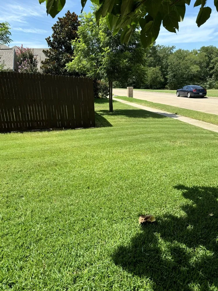 Top-rated landscape installation in Arlington, TX by Peacock Blades Landscaping