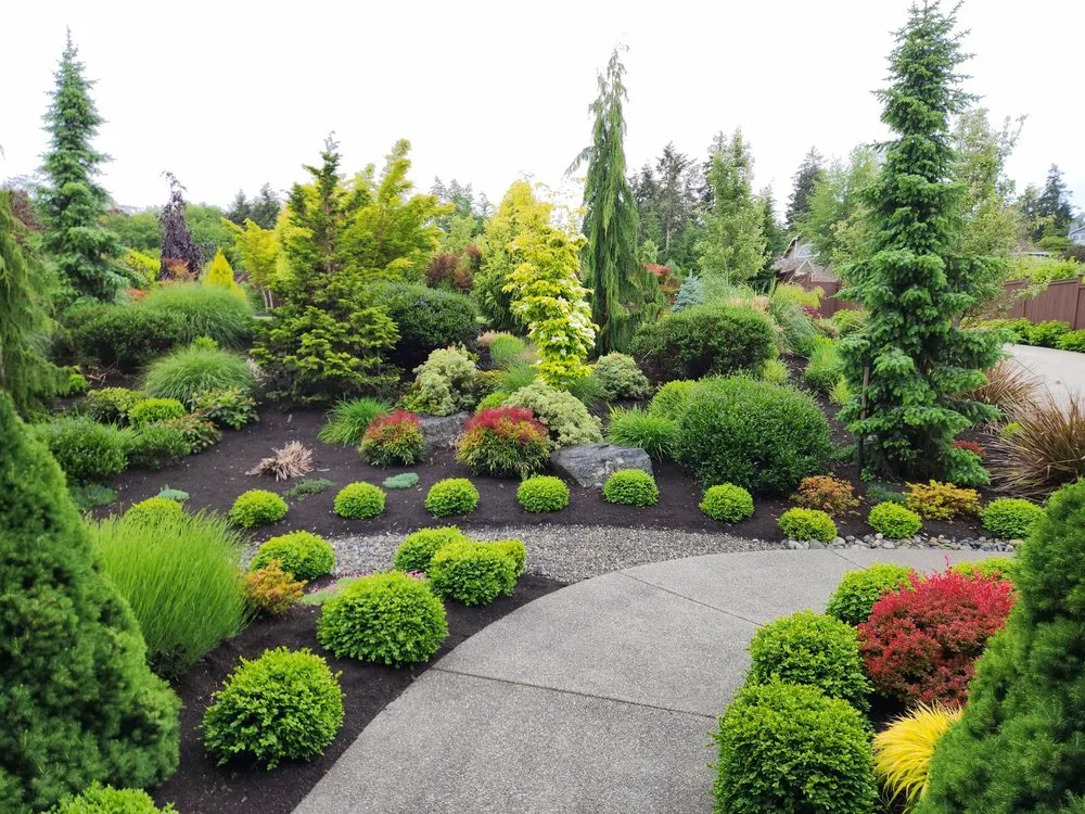 Reliable yard cleanup service for residential properties in Gig Harbor, WA by Peacock Landscape & Irrigation
