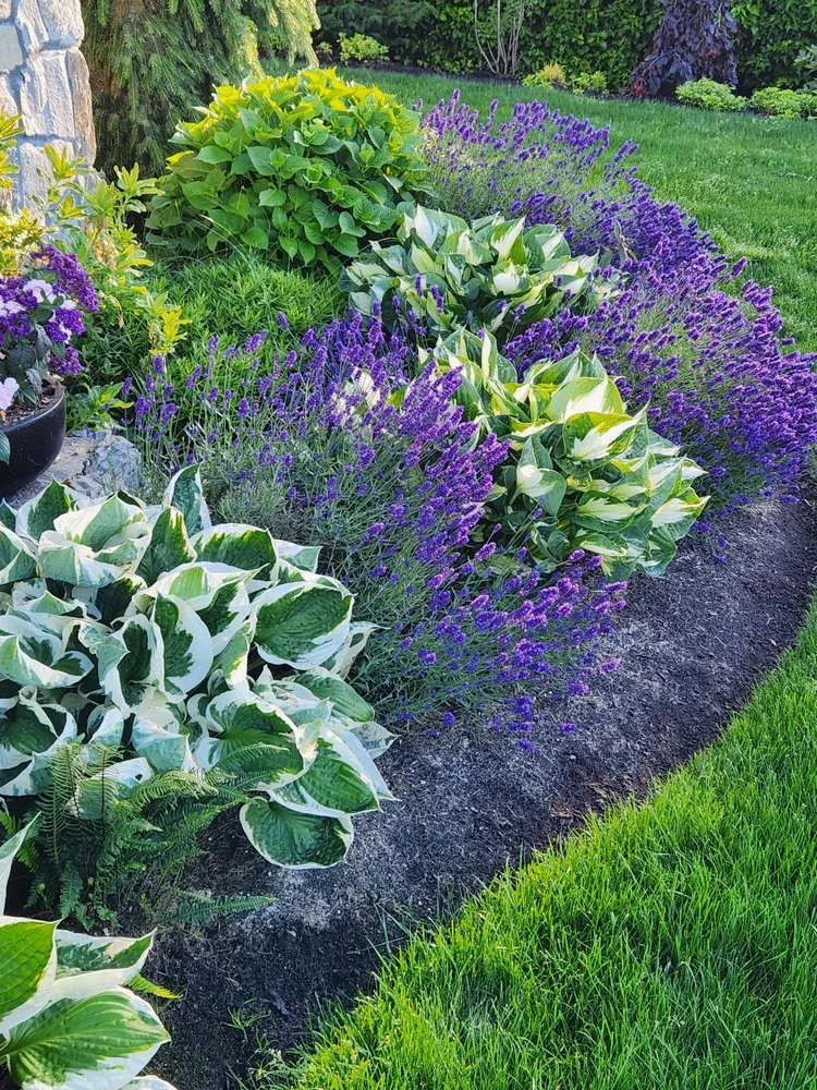 Affordable landscaping services in Gig Harbor, WA by Peacock Landscape & Irrigation