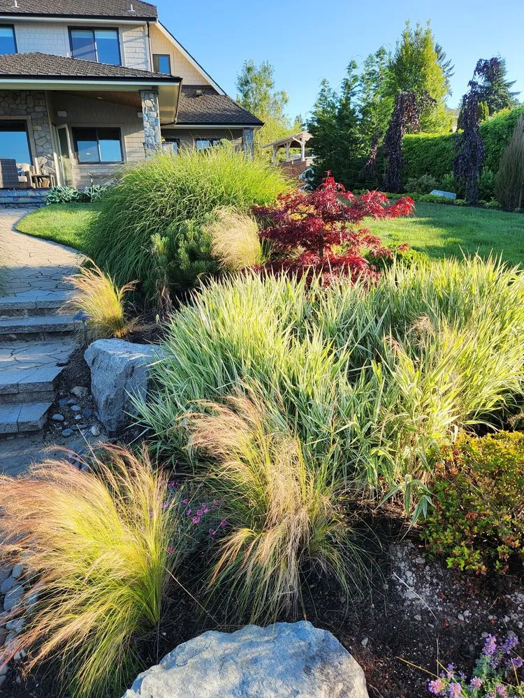 Top-rated lawn care service in Gig Harbor, WA by Peacock Landscape & Irrigation